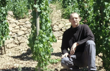 Domaine Xavier Mourier - Vins Direct Producteurs